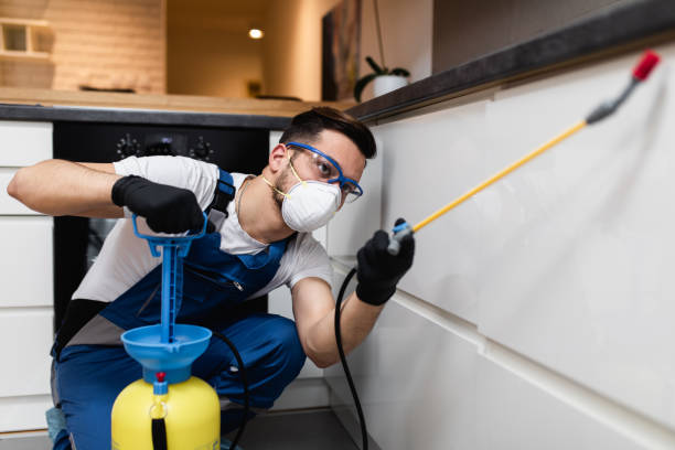 Best Flea Control Services  in Carleton, MI