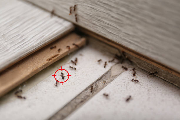 Best Commercial Pest Control Services  in Carleton, MI