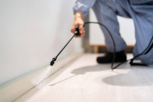 Best Wasp Removal Services  in Carleton, MI
