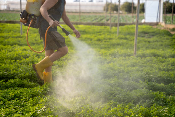 Best Ant Control Services  in Carleton, MI