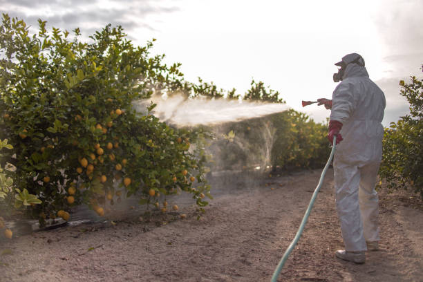 Professional Pest Control in Carleton, MI