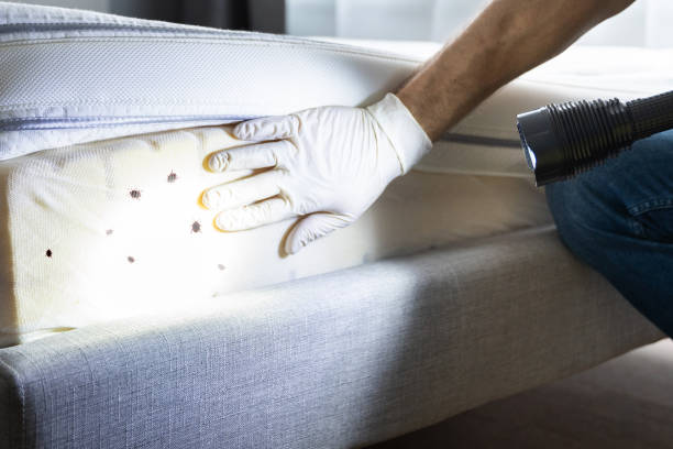 Best Affordable Exterminators  in Carleton, MI