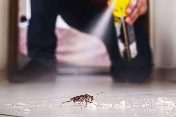 Best Residential Pest Control  in Carleton, MI