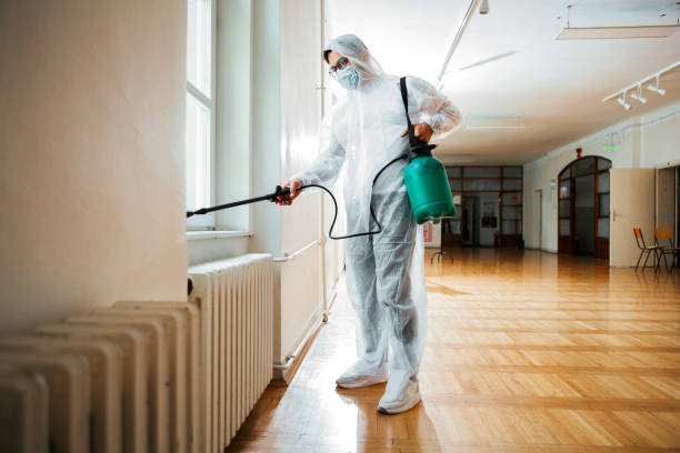 Best Affordable Pest Control Services  in Carleton, MI
