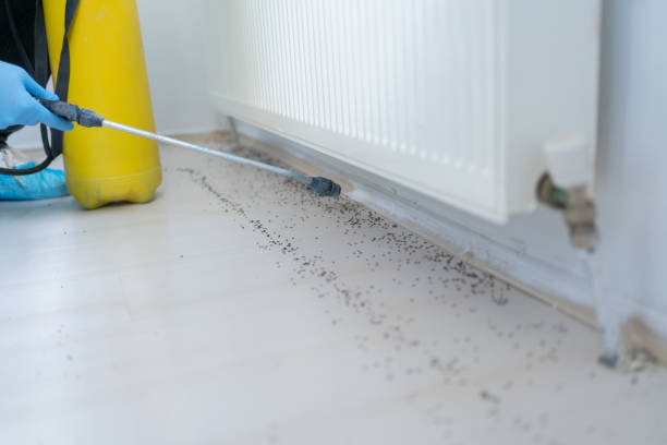 Best Wasp Removal Services  in Carleton, MI