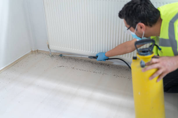 Best Emergency Pest Control  in Carleton, MI